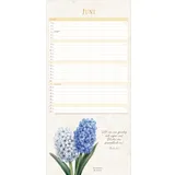 Stimmungsbild zu NaturWunder des Schöpfers 2026 - Familienplaner