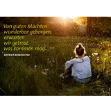 Stimmungsbild zu Vielleicht lässt jemand Wunder regnen