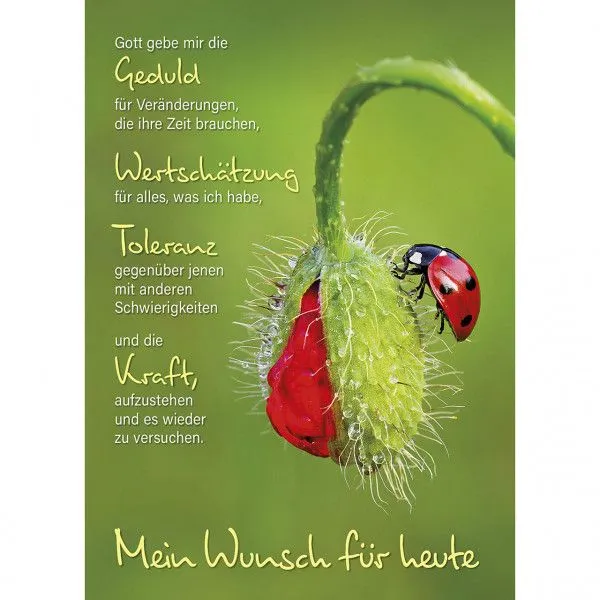 Produktbild des Artikels Postkarten: Mein Wunsch für heute, 4 Stück (Schreibwaren)