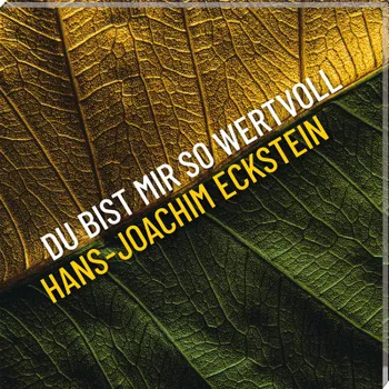 Produktbild des Artikels Du bist mir so wertvoll (Audio - CD)