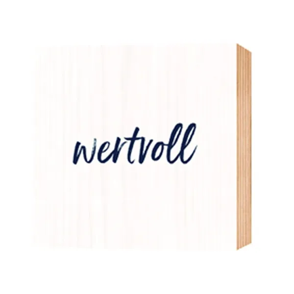 Produktbild des Artikels Holz-Deko-Bild: wertvoll ()