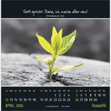 Stimmungsbild zu Kleine Wunder sehen 2026 - Postkartenkalender