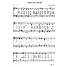 Produktbild des Artikels Wie tief kann ich fallen (Noten - Download)