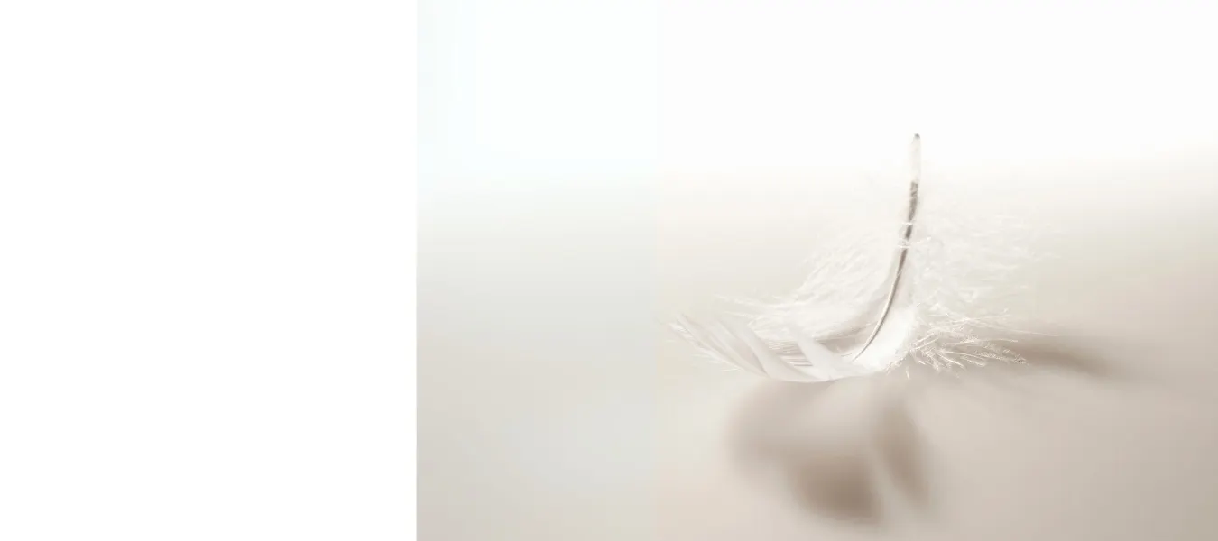 Banner - Hochsensibilität