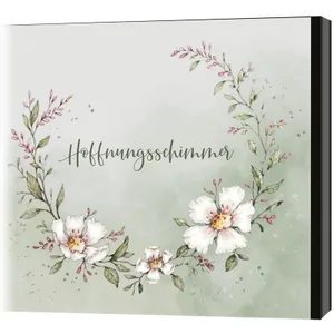 Produktbild des Artikels Hoffnungsschimmer (Audio - CD)