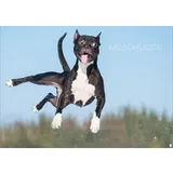 Stimmungsbild zu Kauderwelsch* - Postkartenset