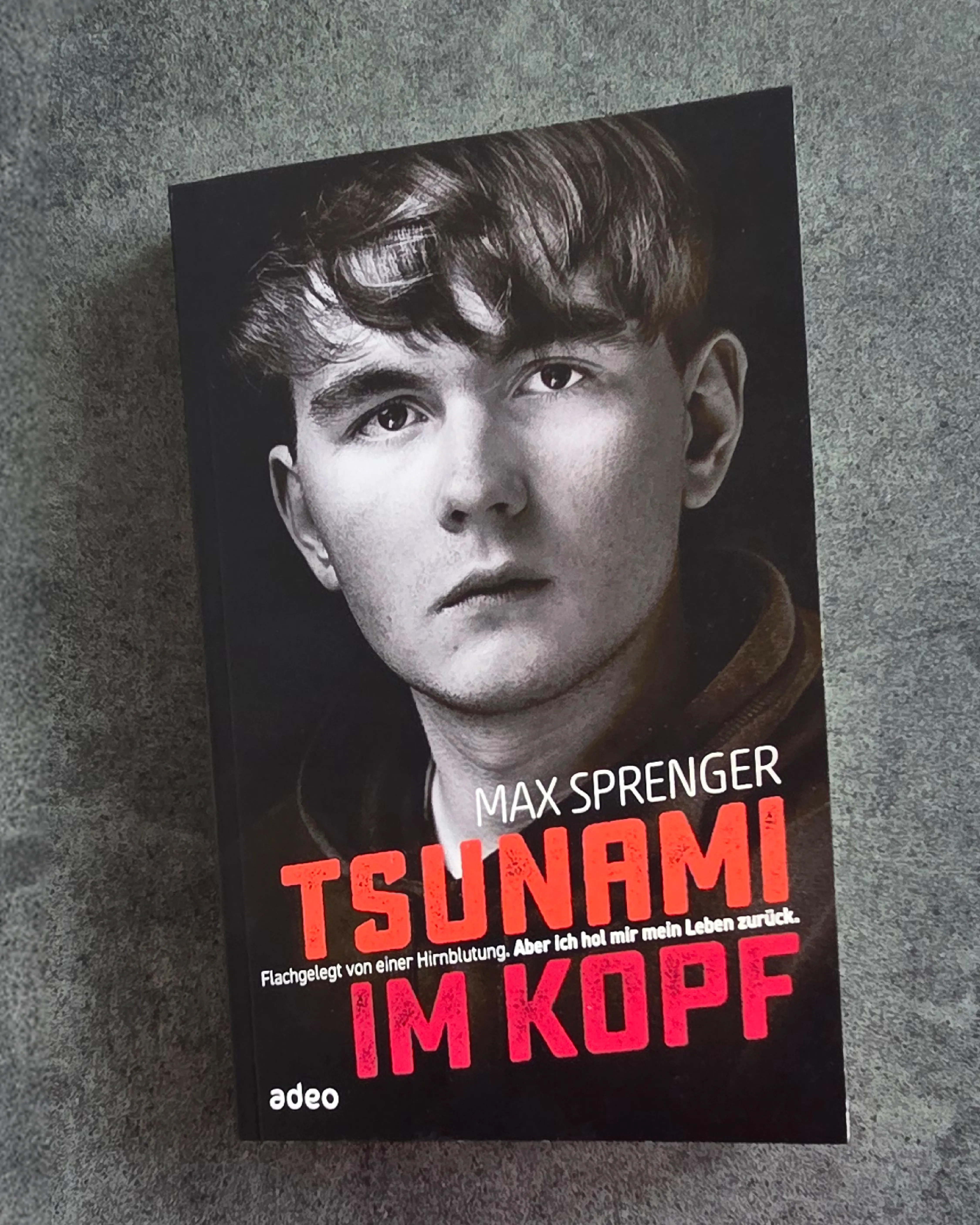 Cover Trügerische Heimat