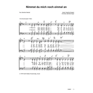 Produktbild des Artikels Nimmst du mich noch einmal an (Noten - Download)