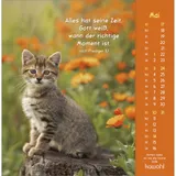 Stimmungsbild zu Gottes Liebe ist wie die Sonne 2026 - Postkartenkalender