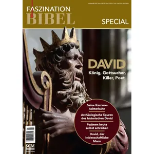Produktbild des Artikels Faszination Bibel special - DAVID (Zeitschrift - Kartoniert)