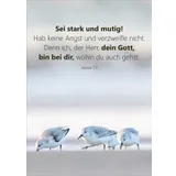 Stimmungsbild zu Unendlich geliebt - Blechdose