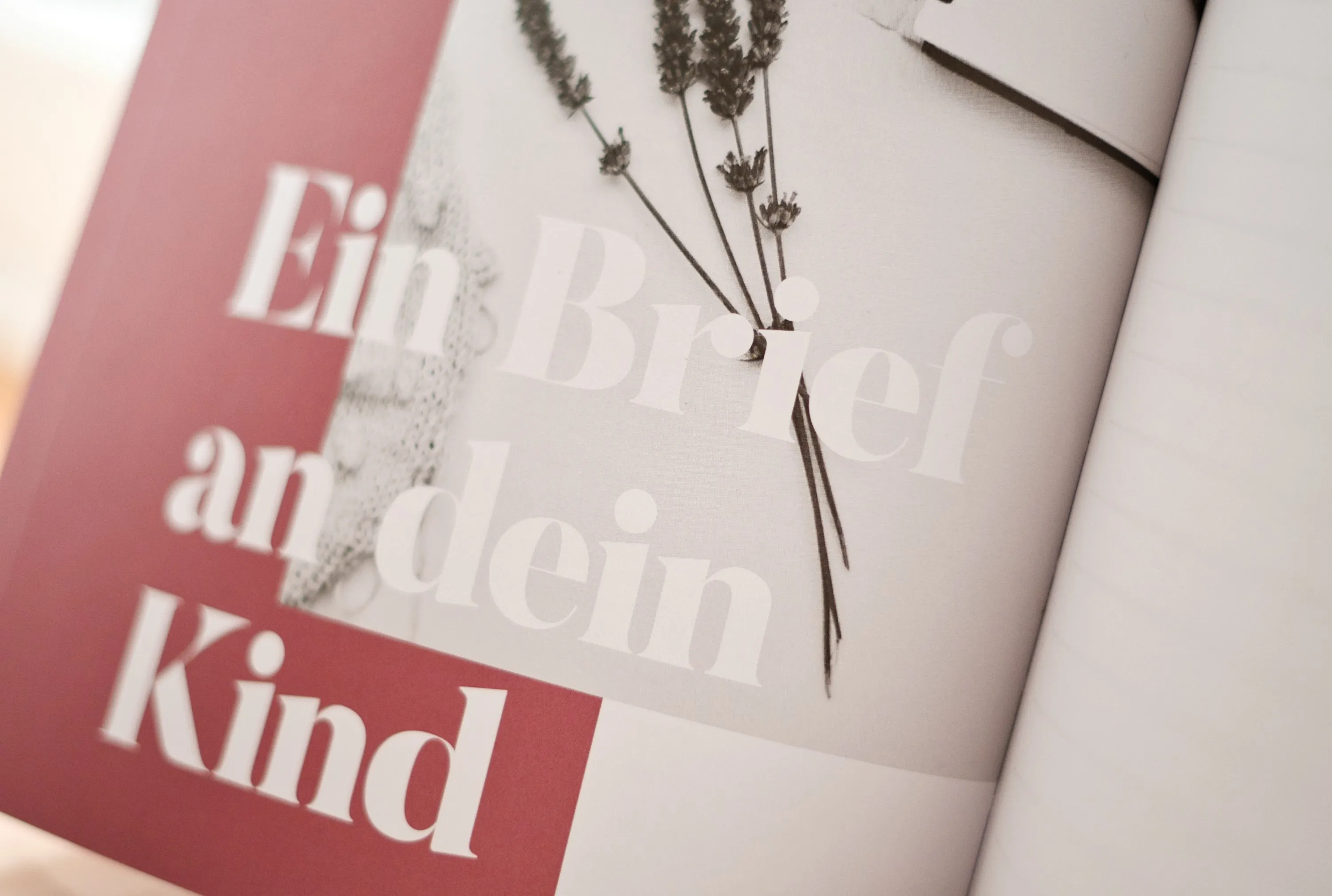 Das Foto zeigt eine Buchseite auf der 