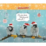 Stimmungsbild zu 24 x Tierische Weihnachten - Adventskalender