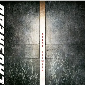 Produktbild des Artikels Space Between (MP3-Album - Download)