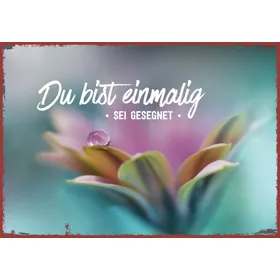 Produktbild des Artikels Metallschild klein - Du bist einmalig (Blume) ()