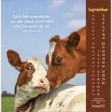 Stimmungsbild zu Gottes Liebe ist wie die Sonne 2026 - Postkartenkalender