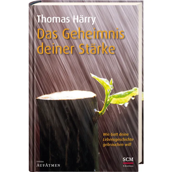 Produktbild des Artikels Das Geheimnis deiner Stärke (Buch - Hardcover)