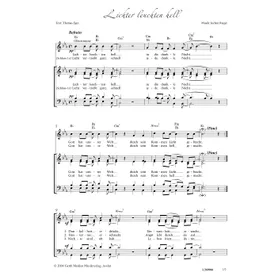 Produktbild des Artikels Lichter leuchten hell (Noten - Download)