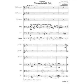 Produktbild des Artikels Nun danket alle Gott - Choralfantasie (Noten - Download)