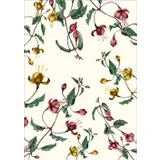 Stimmungsbild zu Grüße aus dem Paradies - Postkartenbox