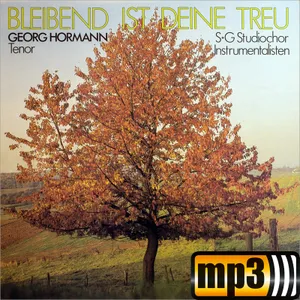 Produktbild des Artikels Ach, mein Herr Jesu (MP3-Track - Download)