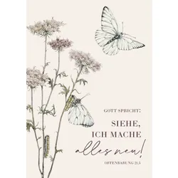 Produktbild des Artikels Jahreslosung 2026 - Poster A3 (Schreibwaren)