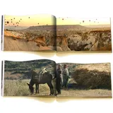 Stimmungsbild zu Auf der Suche nach Kraft