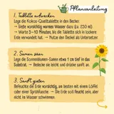 Stimmungsbild zu Pflanz-Set Kinder "Meine erste Sonnenblume"