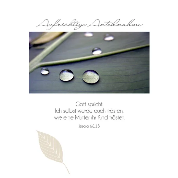 Produktbild des Artikels Faltkarte "Aufrichtige Anteilnahme" Wassertropfen – 5 Stück (Schreibwaren)