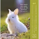 Stimmungsbild zu Gottes Liebe ist wie die Sonne 2026 - Postkartenkalender