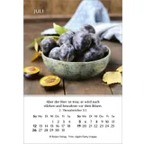 Stimmungsbild zu Ein Jahr der Geborgenheit 2026 - Minikalender