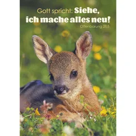 Produktbild des Artikels Jahreslosung 2026 - Postkarten, 12 Stk Tier (Schreibwaren)