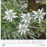 Stimmungsbild zu Glanz der Berge 2026 - Wandkalender