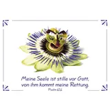Stimmungsbild zu Neujahrslose "Blumen"