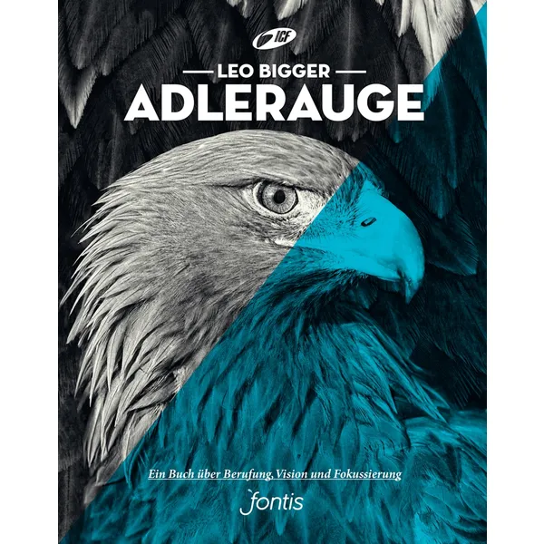 Produktbild des Artikels Adlerauge (Buch - Broschiert)