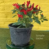 Stimmungsbild zu Gute Laune Block Für dich