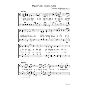 Produktbild des Artikels Meine Worte sind zu wenig (Noten - Download)