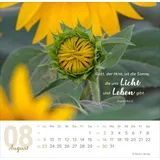 Stimmungsbild zu Meine Zeit 2026 - Verteilkalender