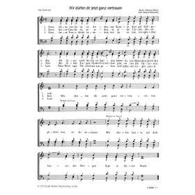 Produktbild des Artikels Wir dürfen dir jetzt ganz vertrauen (Noten - Download)