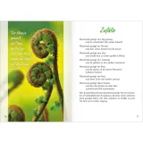 Stimmungsbild zu Am Brunnen