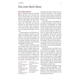 Stimmungsbild zu Neues Leben. Die Bibel für Frauen