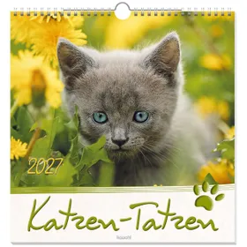 Produktbild des Artikels Katzen-Tatzen 2027 - Wandkalender (Kalender - Spiralbindung)