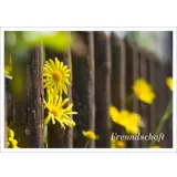 Stimmungsbild zu Postkartenbuch "Herzensmensch"