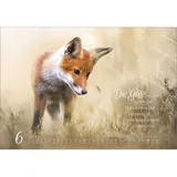Stimmungsbild zu Real Wildlife 2026 - Wandkalender