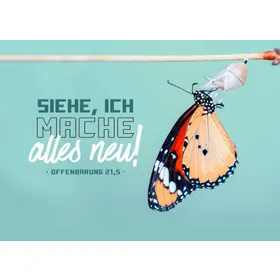 Produktbild des Artikels Jahreslosung 2026 - Postkarte "Schmetterling" (Schreibwaren)