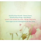 Stimmungsbild zu Für alles gibt es eine Zeit