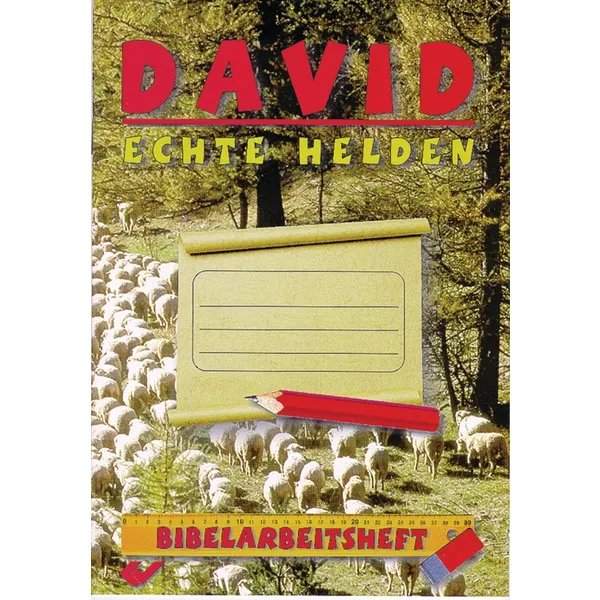 Produktbild des Artikels David - echte Helden (Buch - Geheftet)