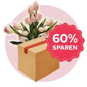 Produktbild des Artikels Überraschungspaket Romane 2026 (Buch)