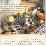 Stimmungsbild zu Kleine Katzen-Tatzen 2026 - Postkartenkalender