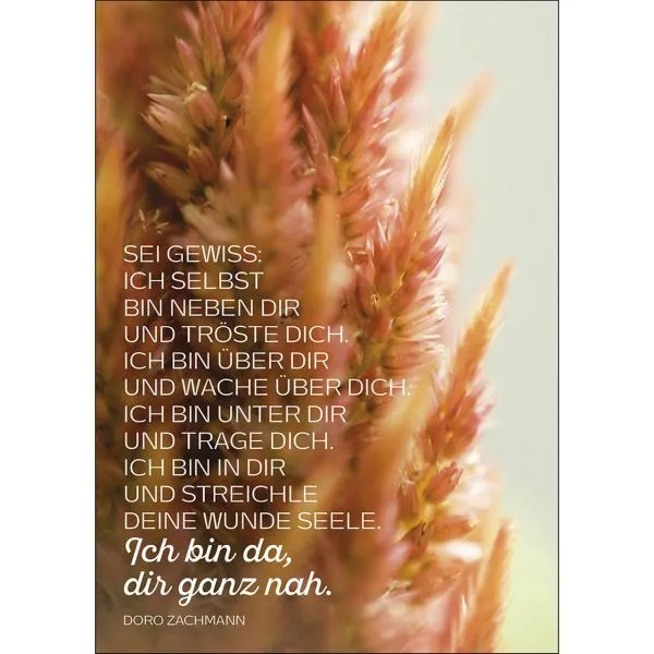 Produktbild des Artikels Postkarten: Ich selbst bin neben dir, 4 Stück (Schreibwaren)